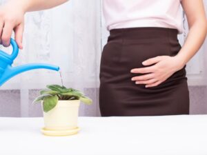 Woman Watering Plant - Incontinence Theme